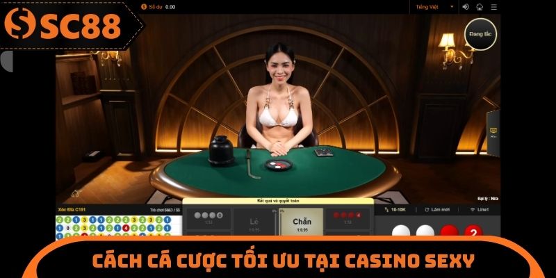 Cách cá cược tối ưu tại Casino Sexy