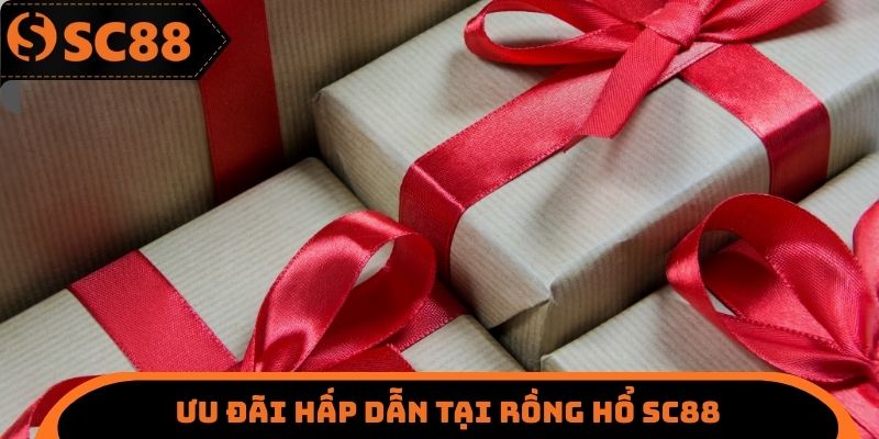 Ưu đãi hấp dẫn tại rồng hổ SC88
